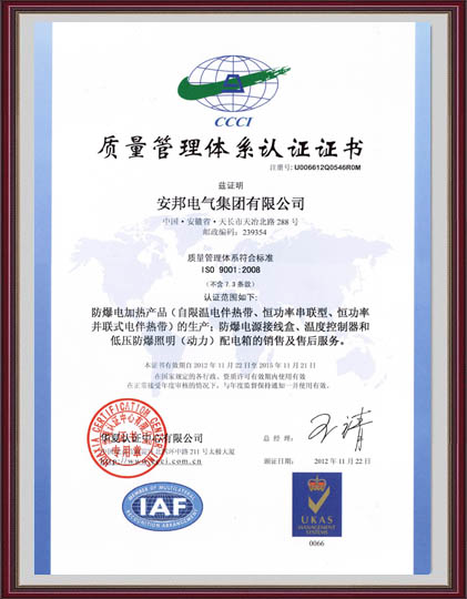 ISO9001:2008ϵ֤İ棩